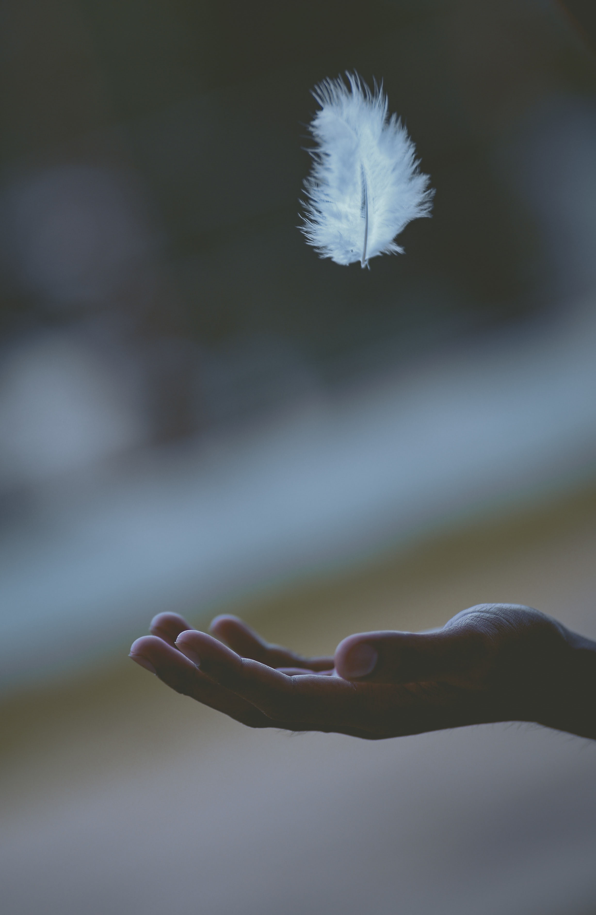 javardh-FL6rma2jePU-unsplash javardh-FL6rma2jePU-unsplash